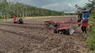 Cara pembuatan bedengan menggunakan mesin traktor rotari untuk tanaman caberawit [upl. by Mellitz]