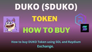 How to Buy DUKO DUKO Token Using Raydium Exchange [upl. by Fish]