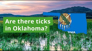 Are There Ticks in Oklahoma Most Common Ticks Found [upl. by Ten181]