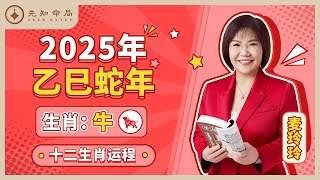 麦玲玲师傅详解2025蛇年运程：生肖牛！事业运、财运、人际关系、爱情、婚姻、健康全解析！ [upl. by Rehpotsirahc]