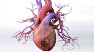 What is Coronary Artery Disease  Mechanism of Disease [upl. by Kamila]