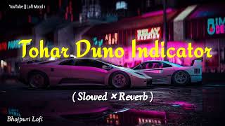 Tohar Duno Indicator Lofi  Slowed × Reverb  LofiMood01 awdheshpremi Bhojpuri song [upl. by Graces]