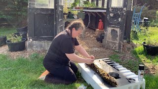 How to make DIY MOSS POLES for your plants amp Greenhouse Tour Update [upl. by Weingarten280]