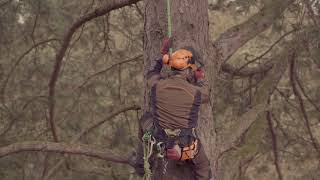 STIHL Arborist  A day in a life of an Arborist [upl. by Naenaj510]