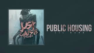 Lil Durk  Public Housing Official Audio [upl. by Rhianon]