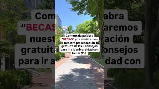 Tipos de becas para estudiar en USA becas college mamalatina [upl. by Stefan966]