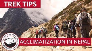 How to Acclimatize to High Altitude at Everest Base Camp  Trek Tips [upl. by Zenger]