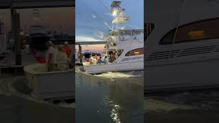 Mollie 66’ GampS with a full load sportfish yacht billfish backup [upl. by Annoiek]