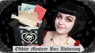 ODDITY MYSTERY BOX UNBOXING  Taxidermy and Oddities from Cleveland Curiosities [upl. by Machute151]