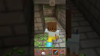 Minecraft maze minEcrAfT [upl. by Lleryt]