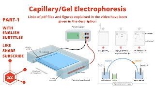 CapillaryGel Electrophoresis Part 1 Analytical Separations  Electroosmosis  DNA Sequencing  ZCC [upl. by Zavala227]