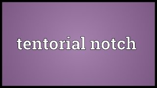 Tentorial notch Meaning [upl. by Alimak]