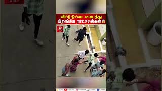 வெளிய வாடா டேய்  வீட்டின் ஓட்டை உடைத்து உள்ளே இறங்கிய மர்ம உருவங்கள் Salem  Diwali [upl. by Hoagland866]