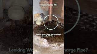 🔥💦 WH 101  Common Water Heater Issue Leaking TampP Relief Valve [upl. by Ridinger]