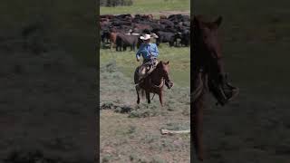 Stockmanship is key guys Learn more at httpsmembers310ranchlifecom ranchlife [upl. by Arikahc387]