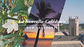 NOUMÉA  LA NOUVELLECALÉDONIE  New Caledonia  Cinematic Travel Video 4K [upl. by Priest]