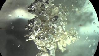 Grow Silver Metal Crystals by Electrochemistry [upl. by Maxentia]