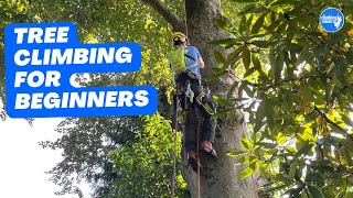 Basic climbing techniques Basic tree ascent [upl. by Aihtekal899]