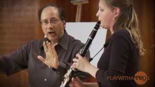 Clarinet lessons with Neidich Mozart clarinet Concerto Play With a Pro [upl. by Nohsid162]