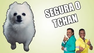 SEGURA O TCHAN em CACHORRÃŠS [upl. by Onida687]