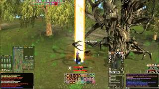 SOLO10 DAOC YWAIN  RR6 VALEWALKER SOLO 2014 [upl. by Kyla]