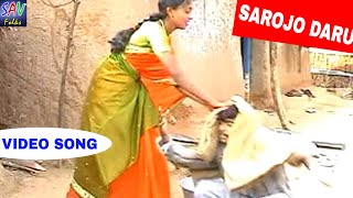 Sarojo Daru Sese Banjara Folk Song  Naavaleri Chwari Album [upl. by Laup463]