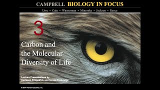 Biology in Focus Chapter 3 Carbon and the Molecular Diversity of Life [upl. by Rise]