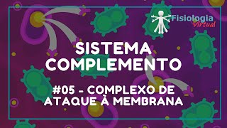 05 Complexo de Ataque à Membrana  Sistema Complemento  Imunologia [upl. by Sekofski]