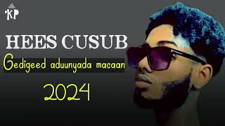 Walid Hassan  GIDIGEED ADUUNYADA MACAN  audio official  2024 [upl. by Xuaegram]