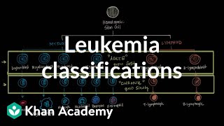 Leukemia classifications  Hematologic System Diseases  NCLEXRN  Khan Academy [upl. by Flight]