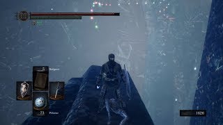 DARK SOULS REMASTERED  Blue Titanite Slab location [upl. by Klingel]