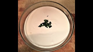 Restaurant Style Tahini Sauce Recipe tahinisauce howtomaketahinisauce gastroguru [upl. by Hulburt]