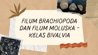 FILUM BRACHIOPODA  KELAS BIVALVIA [upl. by Odlauso]