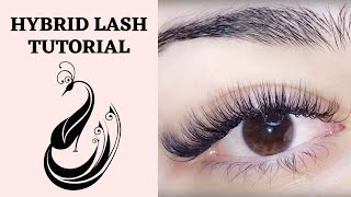 Hybrid Eyelash Extension Tutorial C amp D Curl  Is it OK to mix curls  Eyelash Extensions 101 [upl. by Innaig]