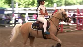 Campionati Italiani 2018  Pony games  dressage  salto ostacoli  Le Siepi Cervia [upl. by Synned]