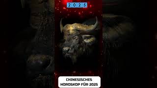 Büffel Chinesisches Horoskop für 2025 [upl. by Esau794]