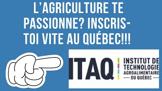 Devenir Ingenieur Agroalimentaire au Canada… Salaires Avantages et Opportunités etudieraucanada [upl. by Bellew990]