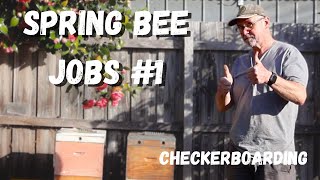 Essential Spring Bee Jobs 1 Checkerboarding [upl. by Seilenna]