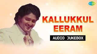 Kallukkul Eeram  Full Album   Bharathiraja  Sudhakar Vijayasanti  Ilaiyaraaja Innisai [upl. by Adnarem]