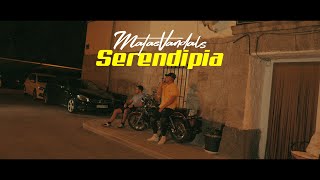 MATASVANDALS  SERENDIPIA VISUALIZER OFICIAL [upl. by Bucher]