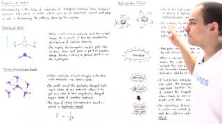 Properties of Water and Hydrophobic Effect Part II [upl. by Adlanor]