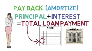 Loans 101 Loan Basics 13 [upl. by Edlyn926]