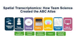 Spatial Transcriptomics How Team Science Created the ABC Atlas [upl. by Amalie112]