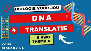 5 vwo  DNA  4  Translatie [upl. by Mmada]