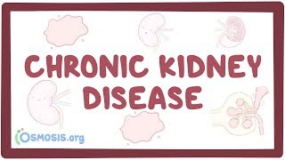 Chronic kidney disease  causes symptoms diagnosis treatment pathology [upl. by Mor]