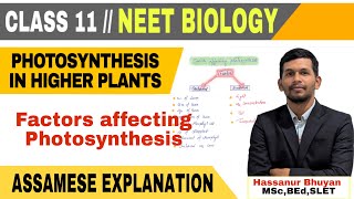 Factors affecting photosynthesis class 11 Photosynthesis in higher plants class 11 biology class11 [upl. by Lenehc]