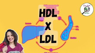 HDL e LDL não são colesteróis [upl. by Drahnreb]