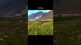 Utha le re baba villagelife kazaspitivalley spitivalley spiti spitiinwinters travel spititour [upl. by End]