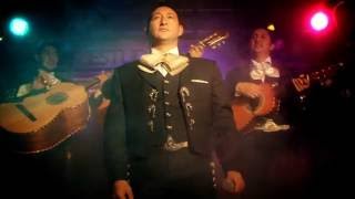 Rubén Coronel Tema quotHasta Mi Finalquot  Mariachis en España 605 566 187 [upl. by Zacek938]