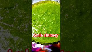 Amla chutney recipe  spicy Indian gooseberry chutney  food recipe cooking SeemaSinghfs7lu [upl. by Ativad]